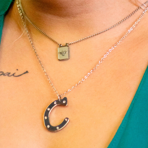 Pingente Aço Letra C com Zircônia