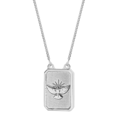 Escapulário de Aço Paz e Espírito Santo 14x11mm 65cm Corrente Veneziana