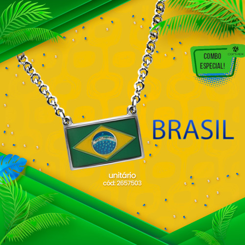 Colar Aço Bandeira do Brasil 20x12mm 50cm