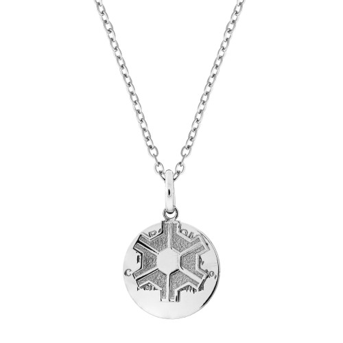 Colar de Aço da Profissão Agronomia 50cm